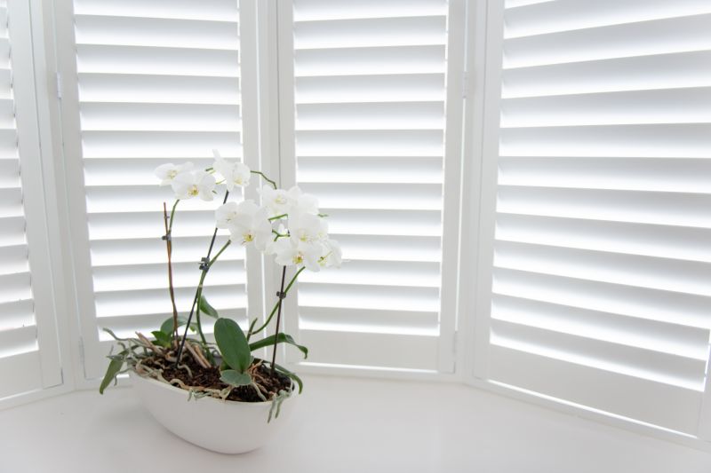 Exterior Shutters Installation in Midlothian, VA